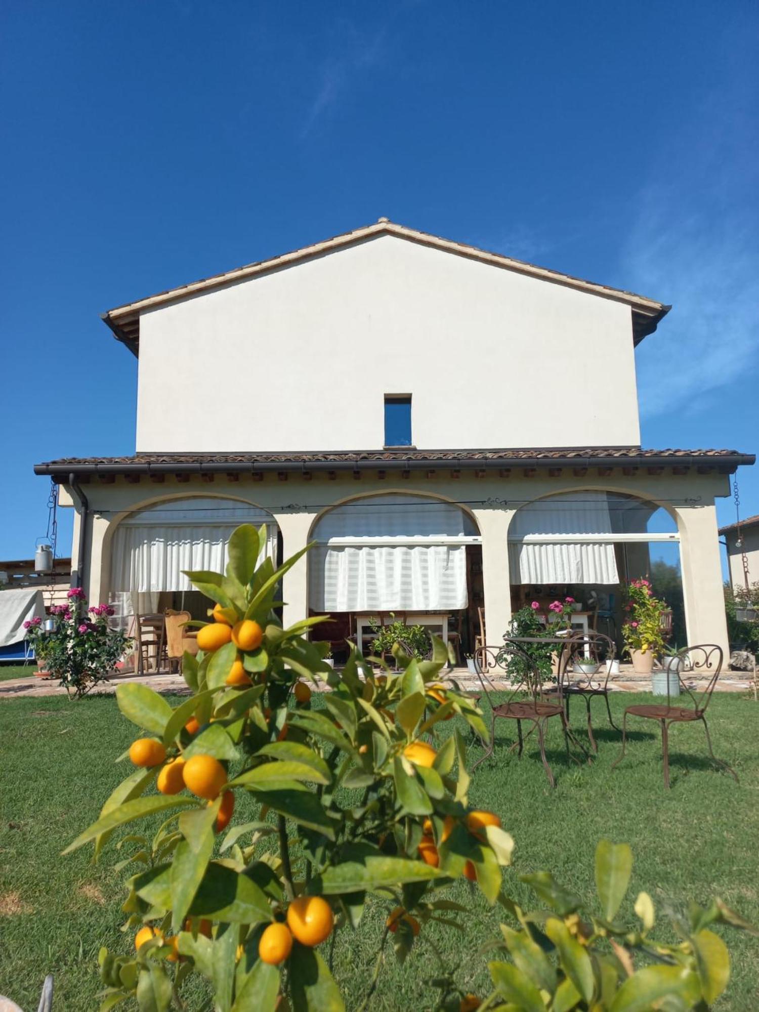 Beb Montefratta Acomodação com café da manhã Fratta Terme Exterior foto